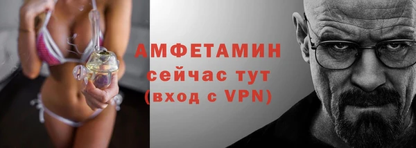 стаф Сатка