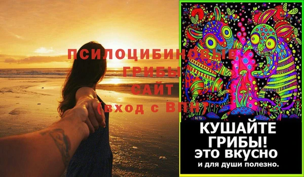 соль курить ск Алзамай